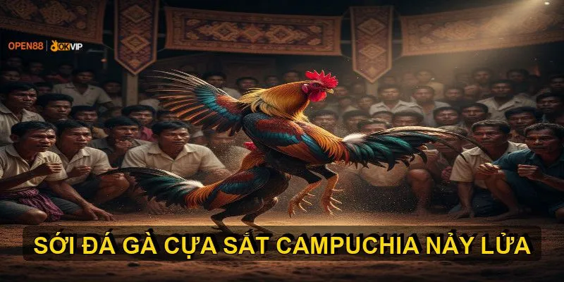 da ga open88 Các Trường gà lớn và Tính pháp lý tại Campuchia