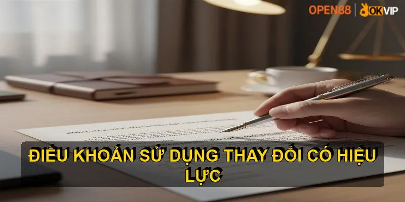 Chính sách sửa đổi và hiệu lực điều khoản